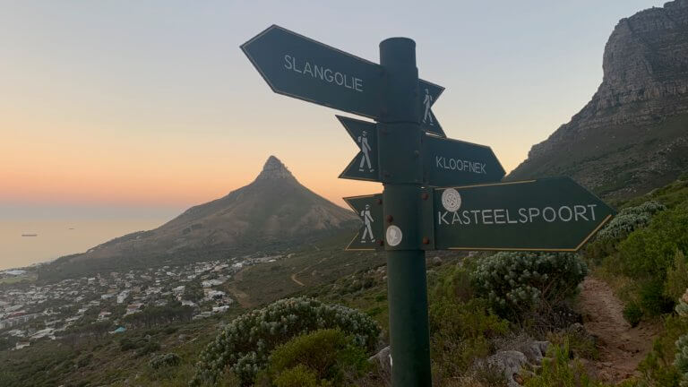 lions head - Fun Fit Adventures CT