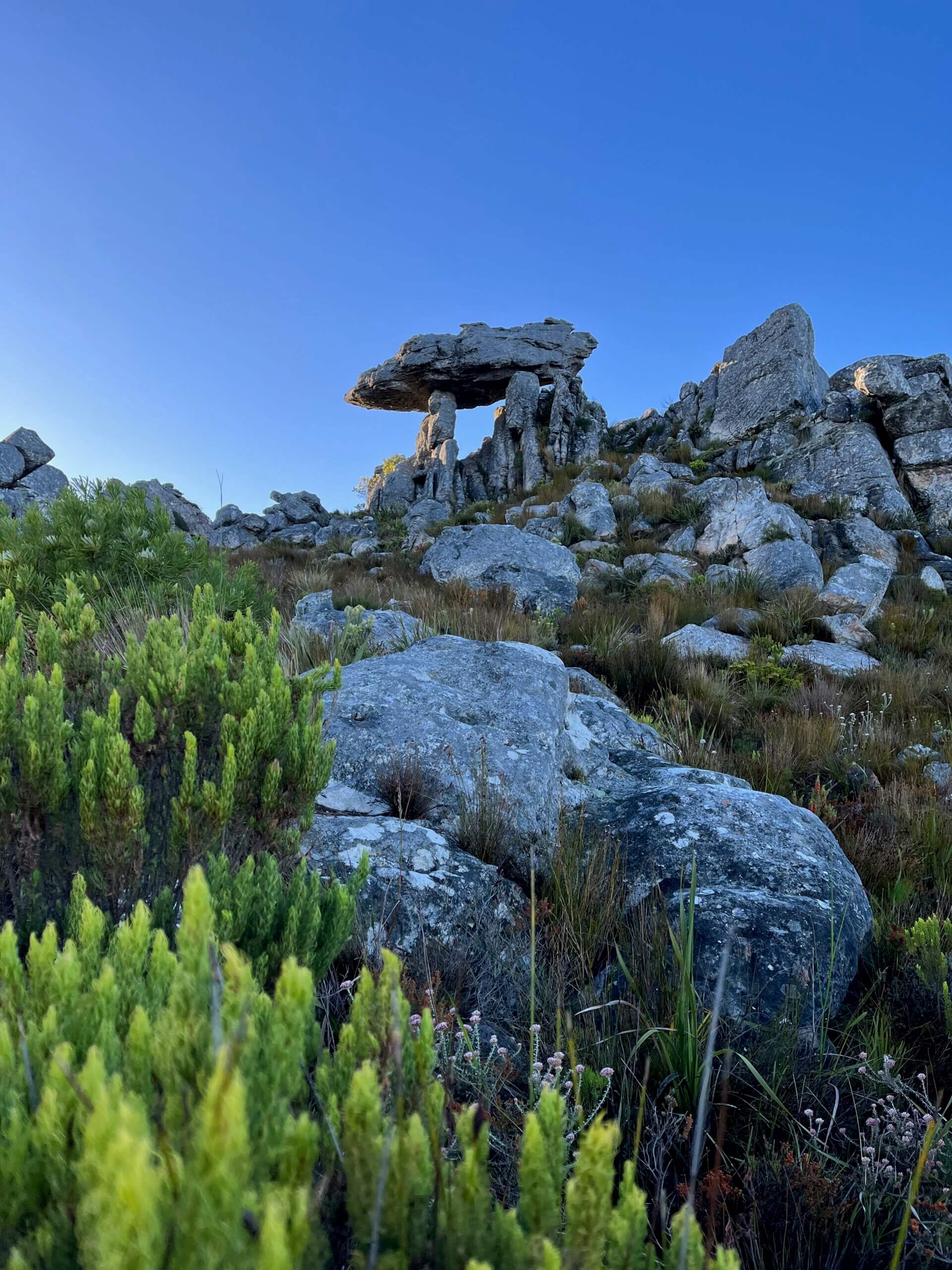 Stellenbosch Mountain - Fun Fit Adventures Cape Town
